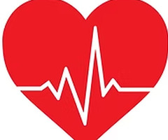 BS gia đình Dzung Tran - 1