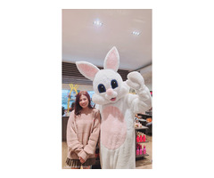 Thi Van Trang Nguyen